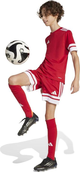 Produktbild adidas Squadra 25 Short Kids (164)