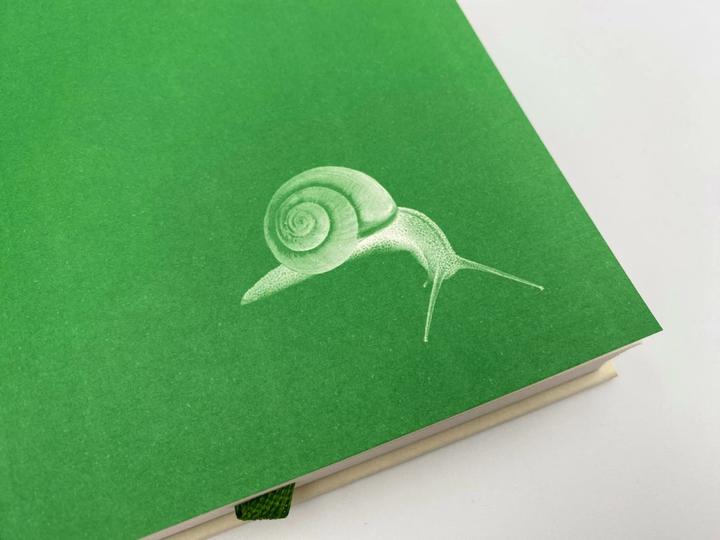 Image du produit Das Geräusch einer Schnecke beim Essen (Allemand, Kathrin Razum, Elisabeth Tova Bailey, Kathy Bray, 2023)