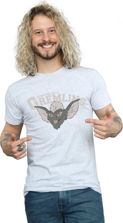 Image du produit Universal Textiles - T-shirt KINGSTON FALLS SPORT - Homme (S)