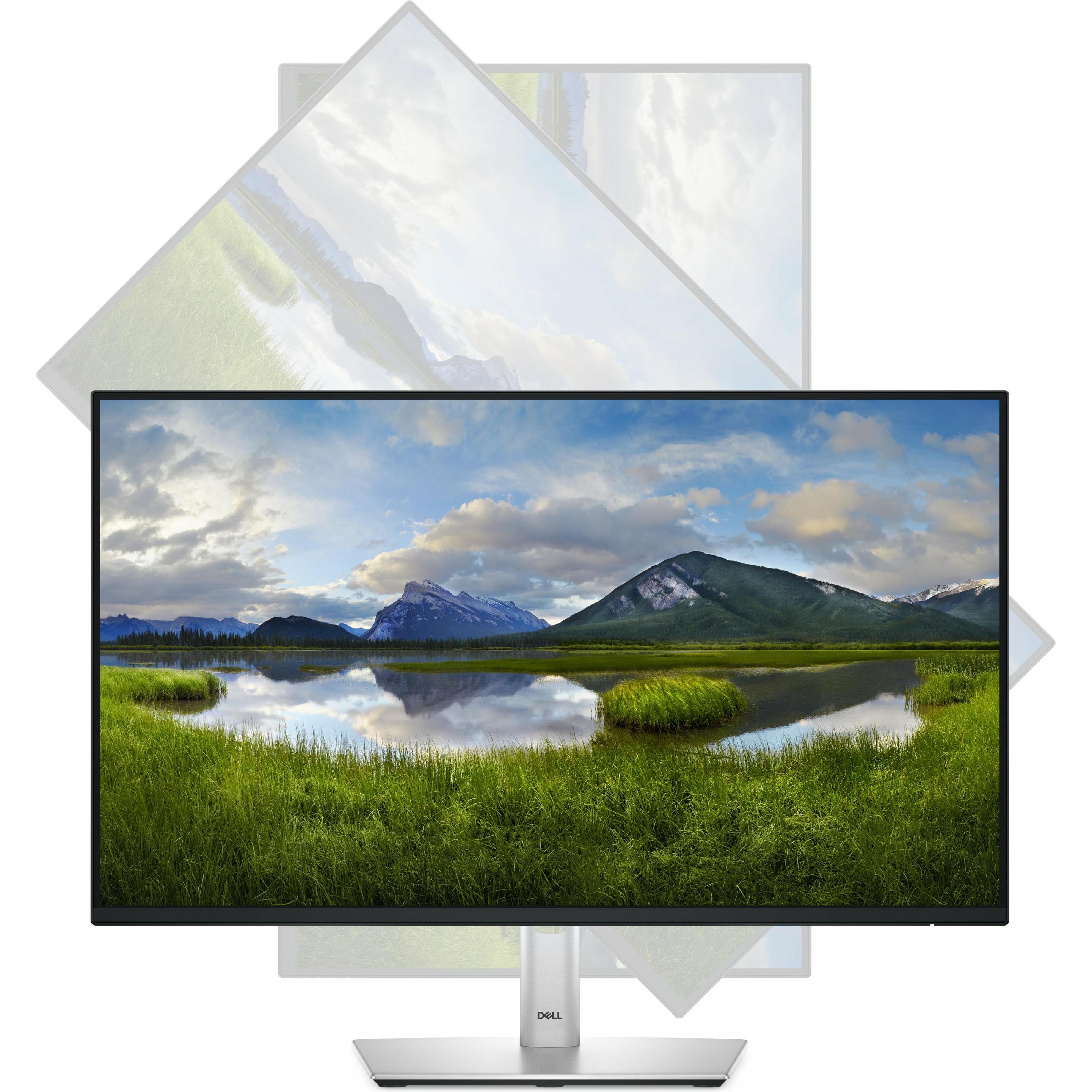 Dell P2425H (1920 x 1080 Pixel, 24"), Monitor, Schwarz