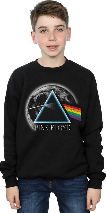 Image du produit Pink Floyd - Sweat DARK SIDE OF THE MOON DISTRESSED - Garçon (116)
