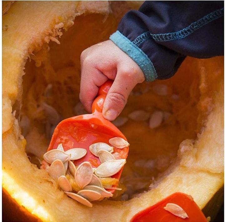 Actual product image Creativ Company Tool Pumpkin Carving