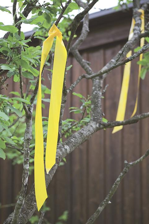 Produktbild Windhager Vogelschreckband