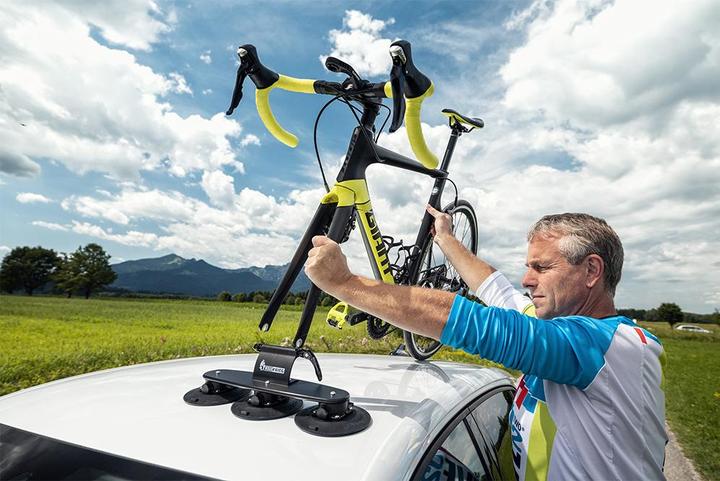 Actual product image TreeFrog Elite 1