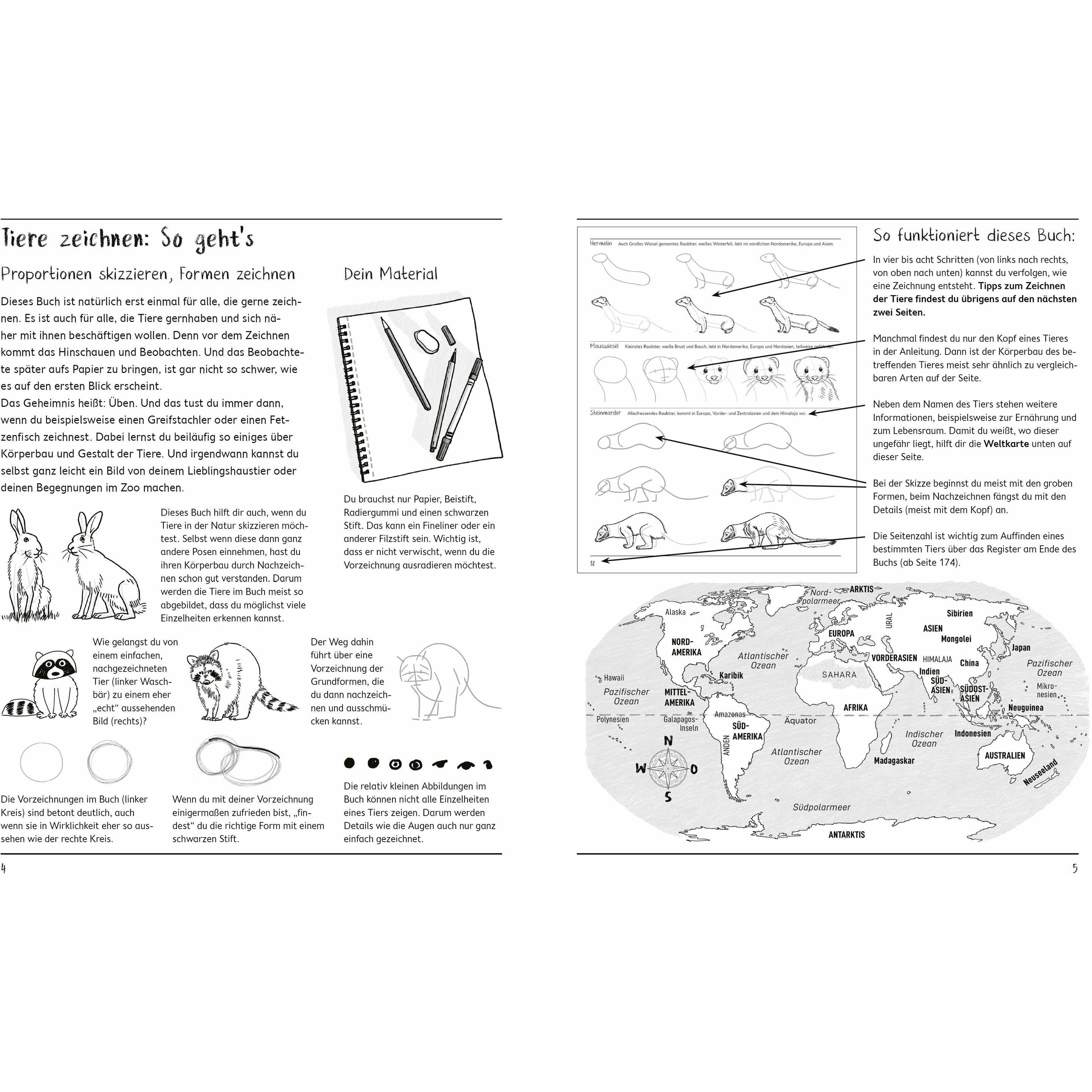 Thumbnail - Ich kann 500 Tiere zeichnen. Die Zeichenschule für Kinder ab 8 Jahren, Malbuch von Norbert Pautner