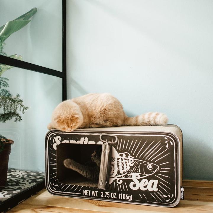 Image du produit District 70 Sardine (30 cm, Noir)
