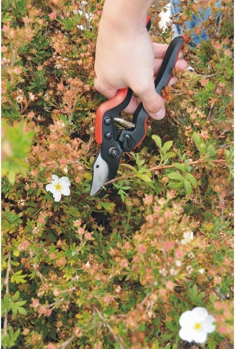 Actual product image Felco Pruning shears