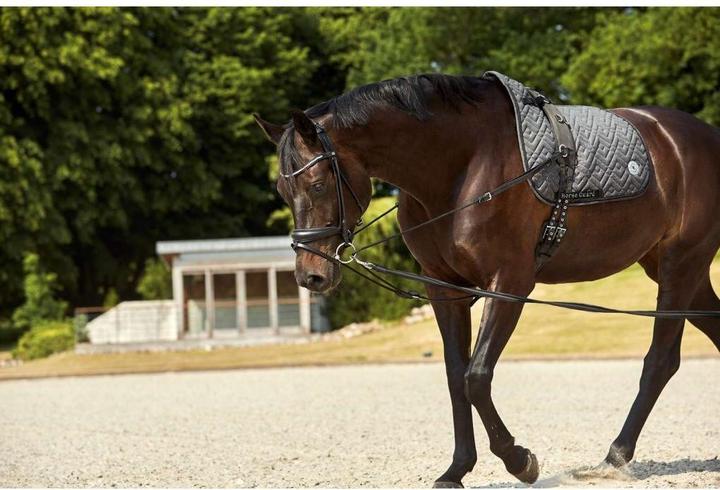 Produktbild Horse Guard Zügel