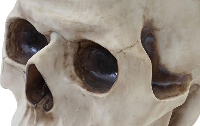 Produktbild Swisshandel24 Totenkopf (52 x 52 x 55 cm)