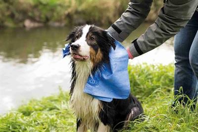 Produktbild Trixie Handtuch (Katze, Hund)