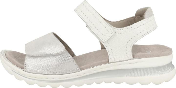 Immagine prodotto Ara 12-47207 - 61565 (42)