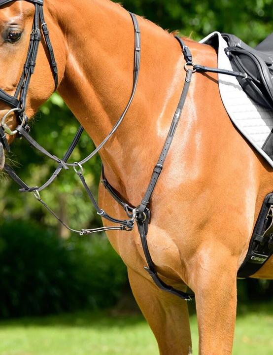 Image du produit Collegiate Comfitec Opulux