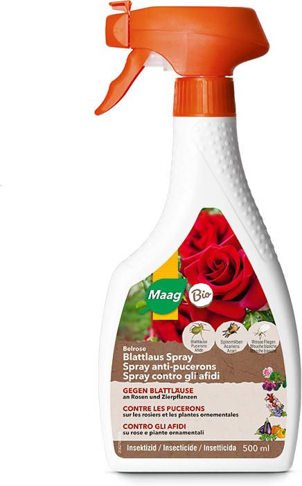 Maag Belrose Spray contre les pucerons (Tétranyque rouge, Mouches blanches, Cochenilles farineuses, Pucerons)