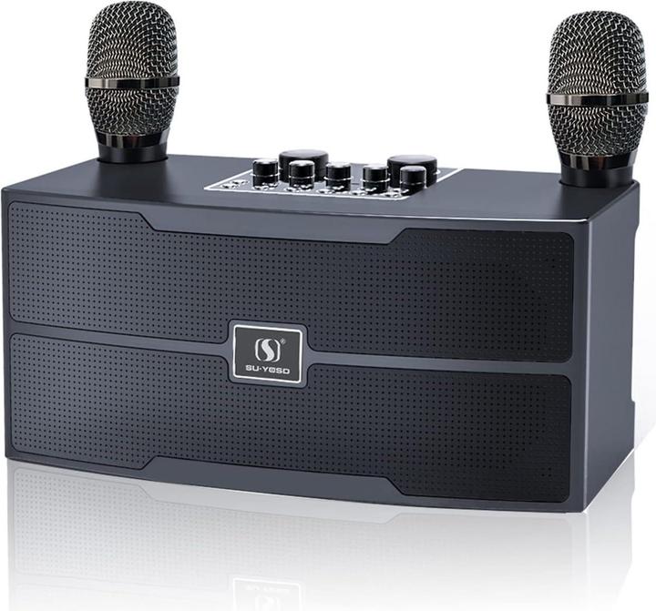Easjoy Karaoke Anlage ES-201 mit zwei Mikrofonen (1x 20 W)