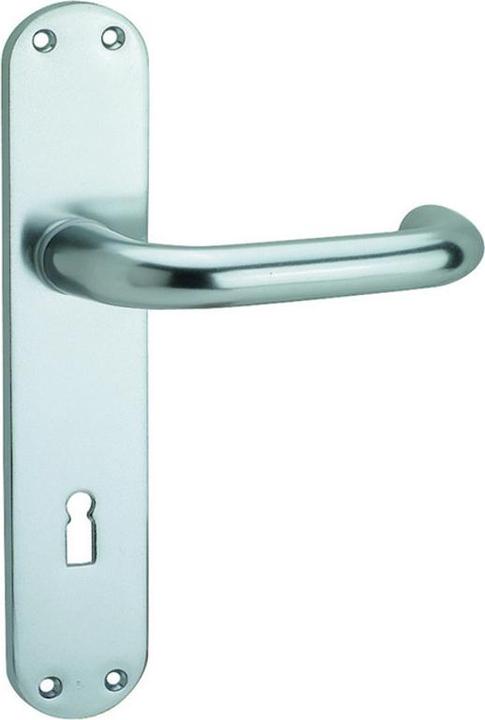 Actual product image Hoppe Lever handle 138L Paris (Door handle)