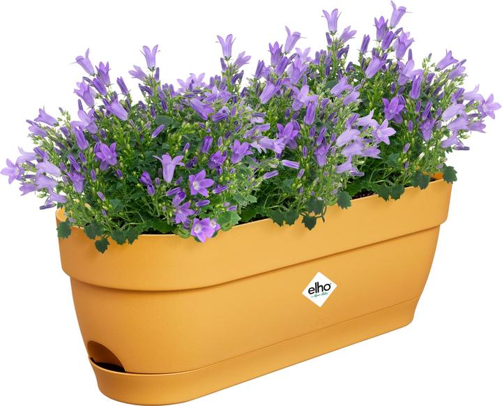 Image du produit Elho Vibia Campana (18.20 cm)