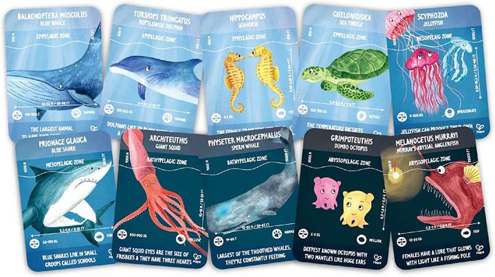 Actual product image Hape Puzzle life in the ocean (200 pieces)