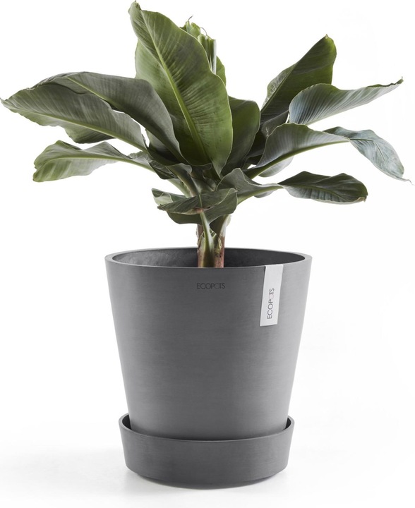 Actual product image Ecopots Saucer on Wheels