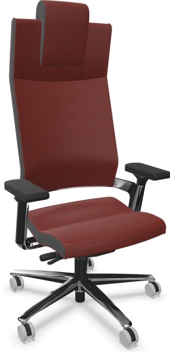 Leder Premium Shirazrot, Poliert