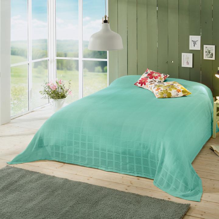 Immagine prodotto Erwin Müller Coperta estiva (240 x 220 cm)
