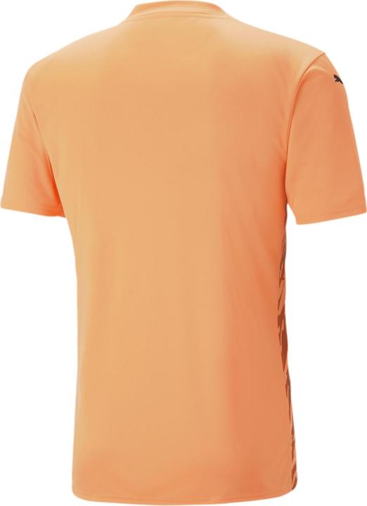 Produktbild Puma teamULTIMATE Jersey (L)