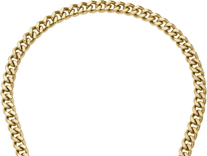 Image du produit Fossil JF04956710 Collier (Acier inoxydable)