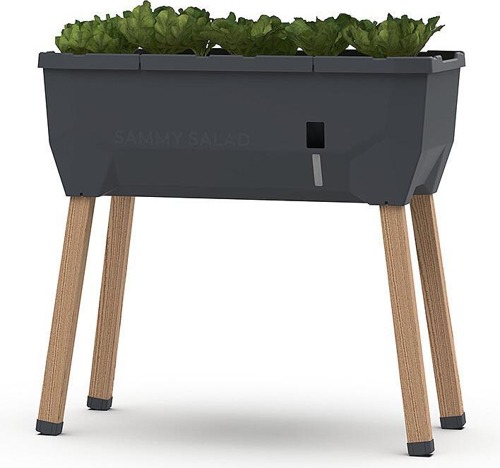 Immagine prodotto Gusta Garden Insalata Sammy