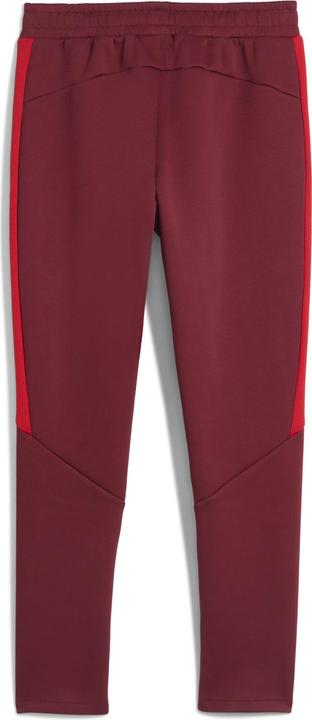 Actual product image Puma RBS EVOSTRIPE Pants (3XL)