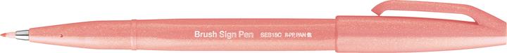 Actual product image Pentel Brush Sign Pen (1x)