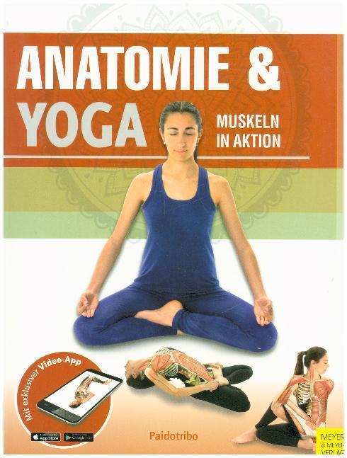 Produktbild Anatomie & Yoga (Deutsch, 2018)