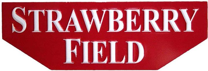 Actual product image Rock Off Strawberry Field Embossed Fridge Magnet