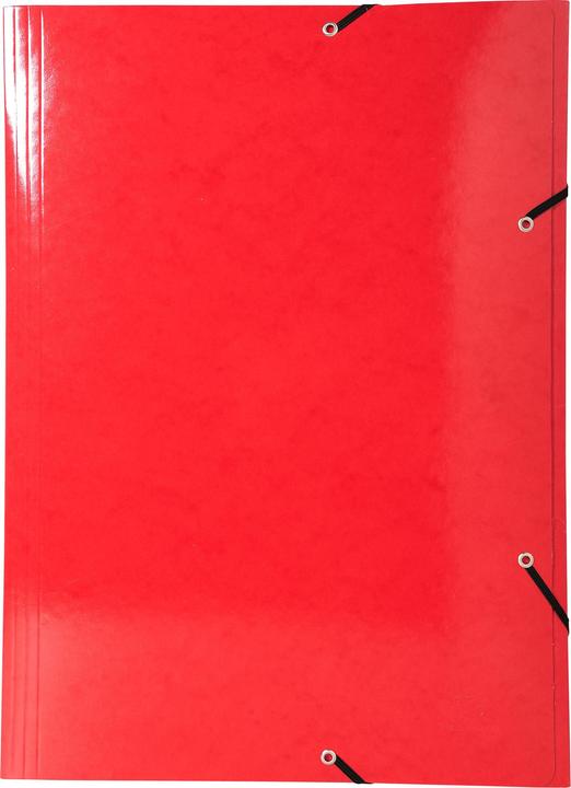 Actual product image Exacompta Folder (A3, 1 x)