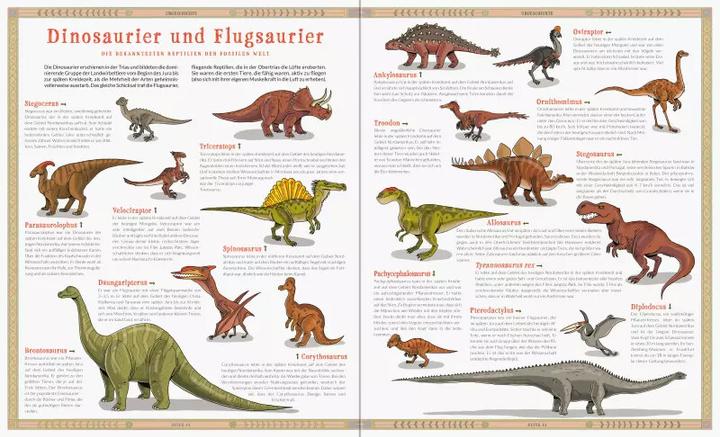 Produktbild Ravensburger Ausgestorben - Das Buch der verschwundenen Tiere (Deutsch, Joanna Wajs, Katarzyna Gladysz, 2020)