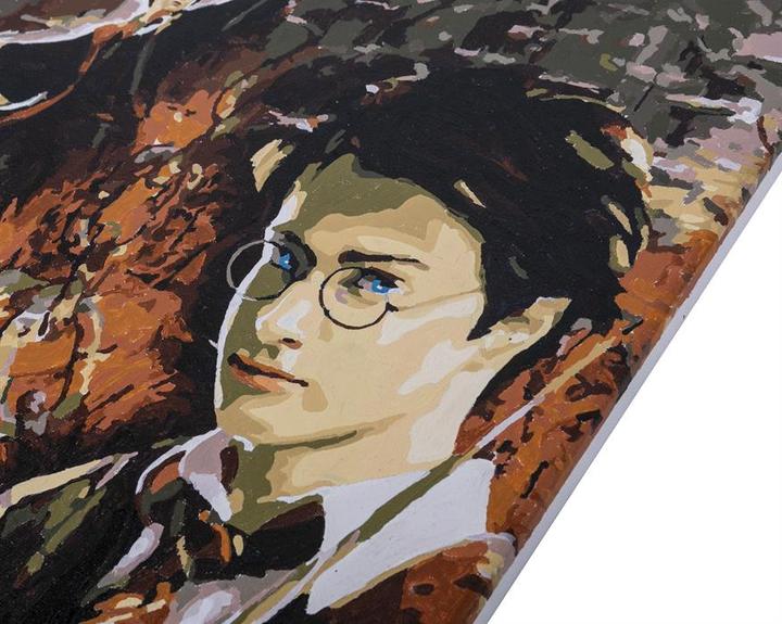 Produktbild Craft Buddy Harry Potter, 30x30cm Paint By Numbers Kit