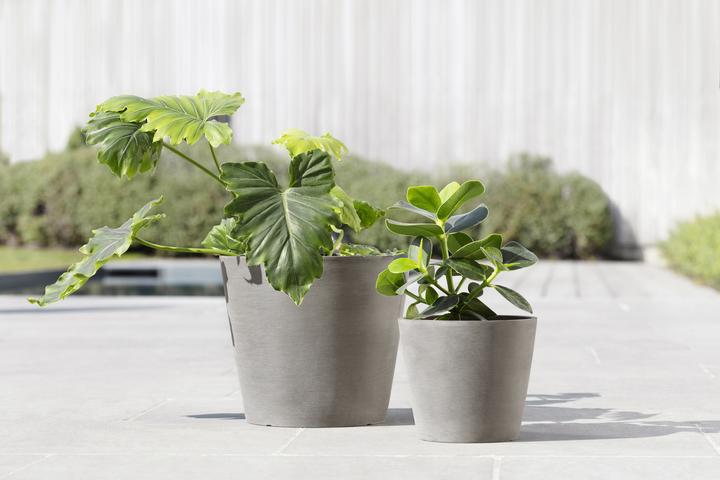 Actual product image Ecopots Amsterdam (50 cm)