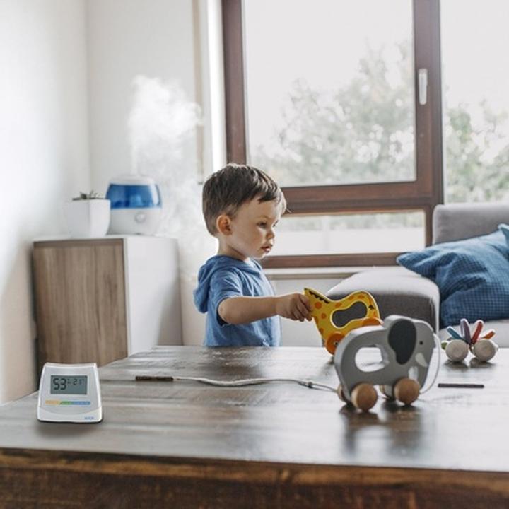 Actual product image Vicks 2in1 Hygrometer & Thermometer V70EMEA