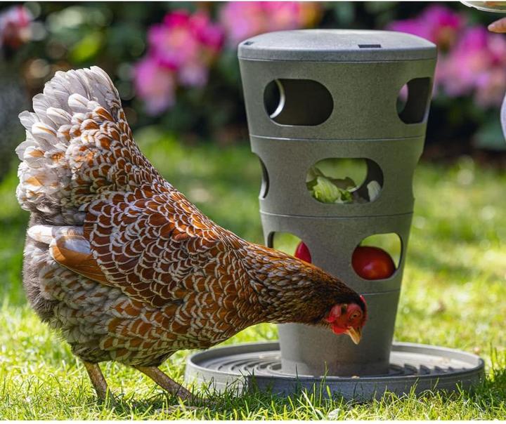 Actual product image Beeztees Feeding Station Chickens Feeding Tower, Grey