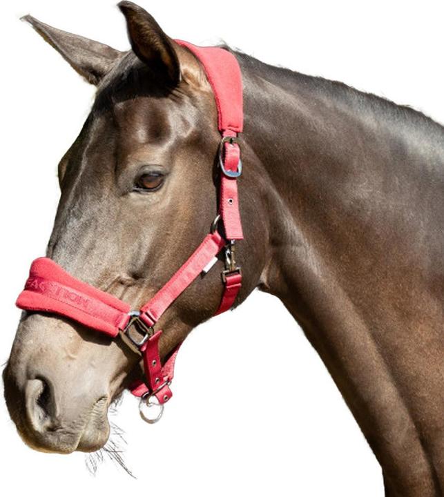 Immagine prodotto Hy ProReaction Cavezza per Cavallo