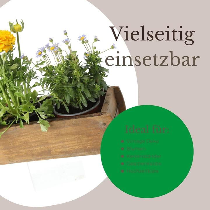 Produktbild Novaliv 2x Holzkiste Vintage 30 x 15 x 10 cm Alte Ziegelform Holz EIN KAMMER Allzweckkiste aus recyc (30 x 15 x 10 cm)