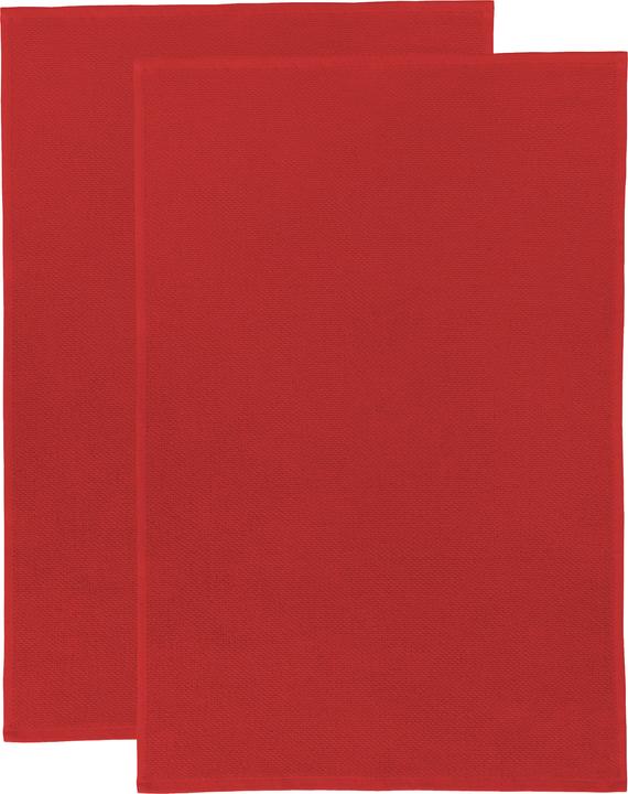 Rot