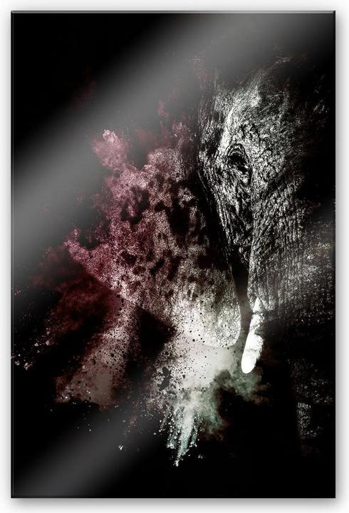 Image du produit Trenddeko Explosion sauvage : Elephant 02 (40 x 60 cm)