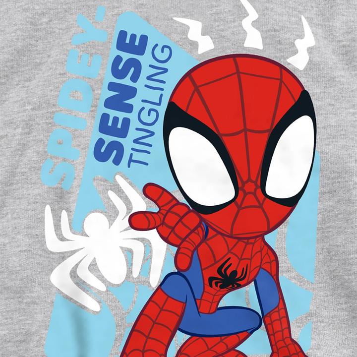 Produktbild Spidey Senses Kapuzenpullover Zum Überziehen (116)