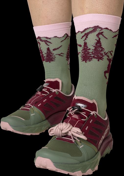 Produktbild Dynafit Alpine Pro 2 Laufschuh (38.5)