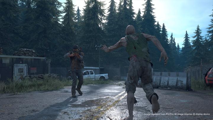 Actual product image Sony Days Gone (PS4, DE)