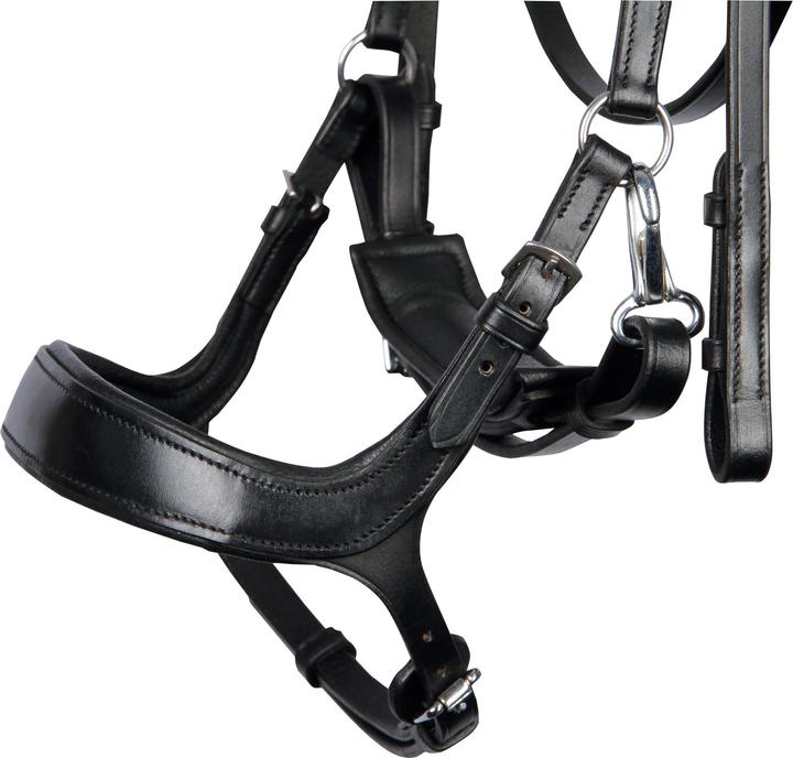 Produktbild Harry's Horse Release