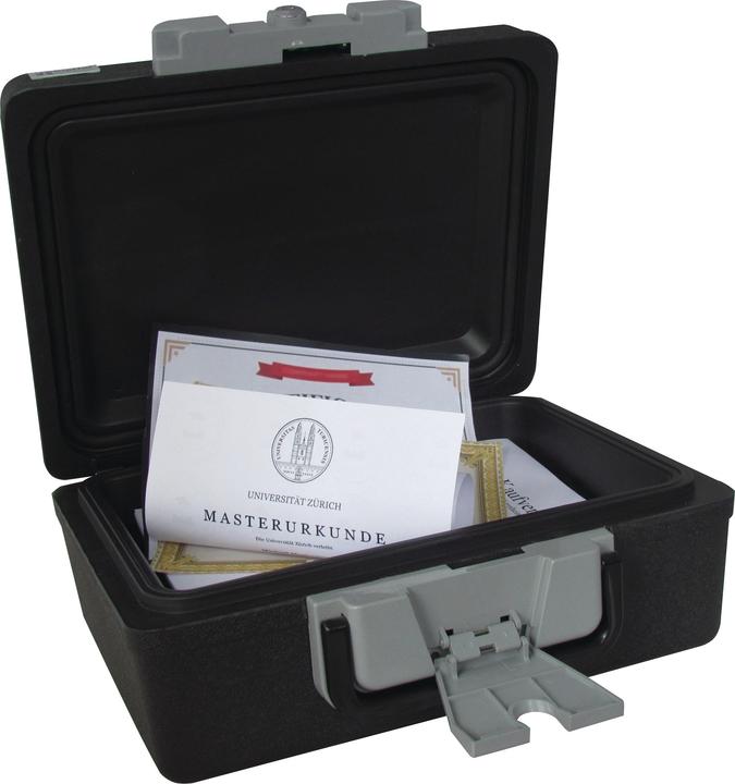 Immagine prodotto Rieffel SicurezzaCaso 6 (6.40 l)