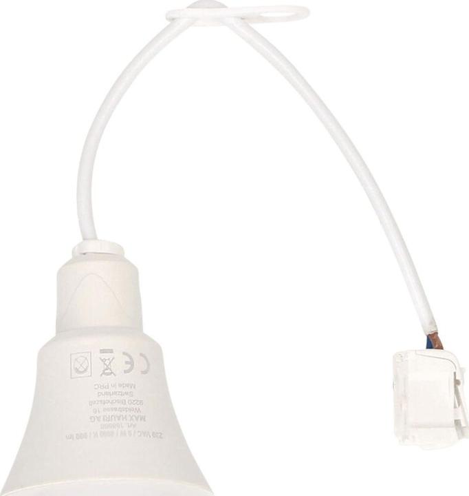 Actual product image Max Hauri Construction site lamp LED with connection cable + plug-in terminal (900 lm)