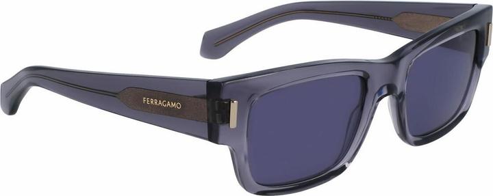 Actual product image Salvatore Ferragamo Rectangular Acetate Sunglasses