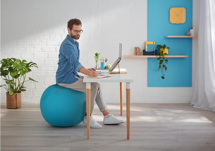 Productafbeelding Leitz Ergo Cosy zitbal (65 cm)