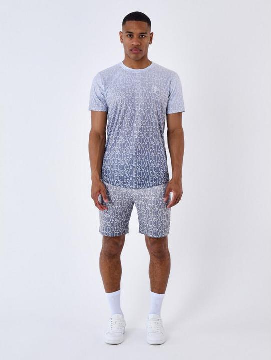 Actual product image Project X Paris Two-tone, all-over gradient-effect T-shirt (XS)